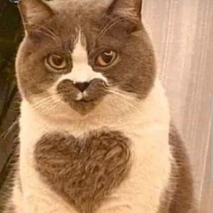 Meet your Posher, Dayjiana